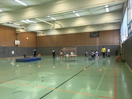Handball Halle