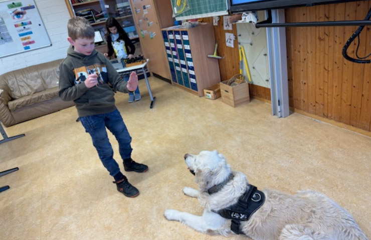 Schulhund Toni hört auf das Kommando "Platz"
