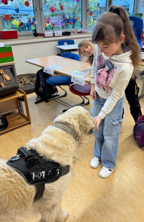 Schulhund Toni bekommt eine Belohnung von einer Schülerin